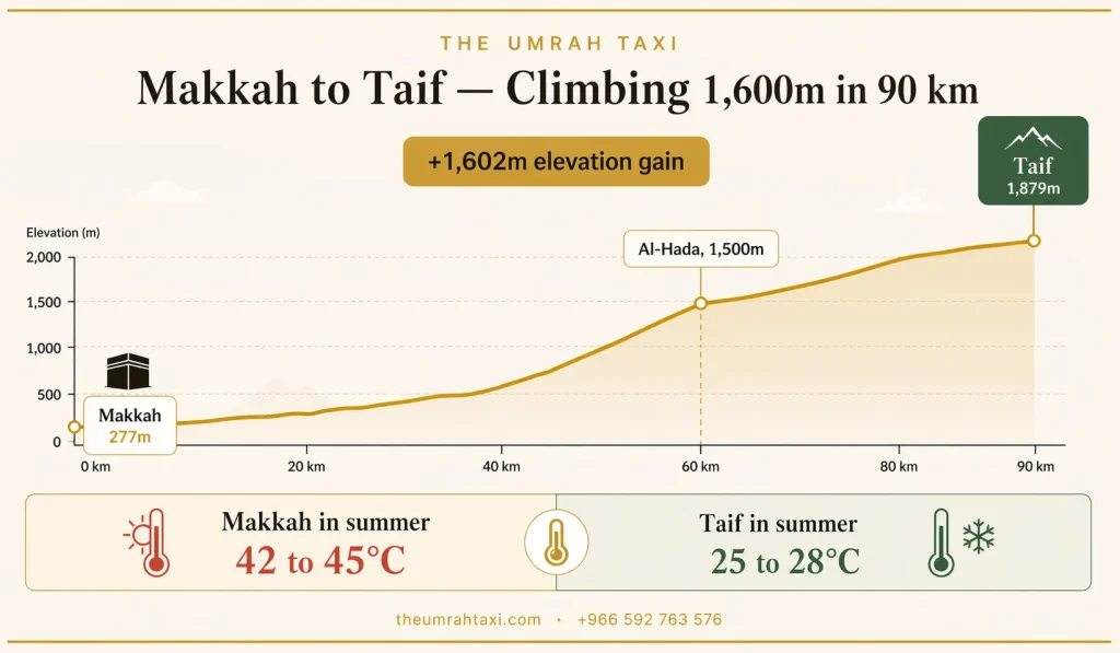 Makkah to Taif Mountain Road Elevation Infographic